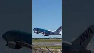 ANA Airbus A380 #ana #honolulu #airbusa380 #airbus