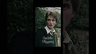 Get to know me Harry Potter edition #gettoknowme #harrypotter