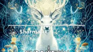 Sharmatix - Dance Of Light [Ovnimoon Records / Geomagnetic / Psytrance]