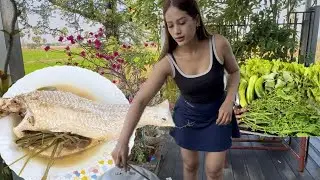 My Daily Simple Life/ Steam Fish With Sdao leaves