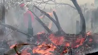Brazil's Amazon fires off to worst start in 20 years | REUTERS