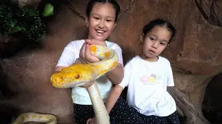 Malang, Java Adventure Part 1 - Visiting Daddy&rsquo;s Buddy, Day Trip to Batu Jatim 2 Theme Park Dec 25