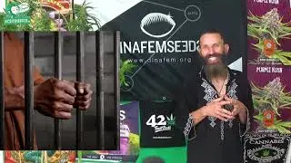 Marihuana la Scandal  si Big Pharma la Bal (Prezentare Underdawg de la Th Seeds)