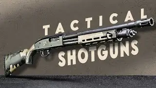 Best Tactical Shotguns for survival 2025