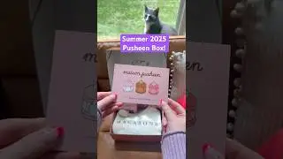 Summer 2025 Pusheen Box! #pusheenbox #pusheen