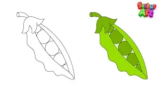 How to draw Peas | Simple steps to draw Peas for kids | SathurArt