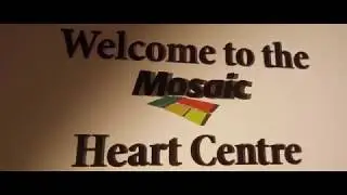 Mosaic Heart Centre Vignette FINAL