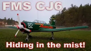 FMS CJ6 - Hiding in the mist!