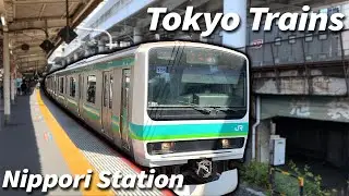 Tokyo Trains at Nippori and Nishi-Nippori Stations! - Tokyo
