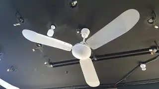 Winner Ceiling Fan, 1980s, WF455