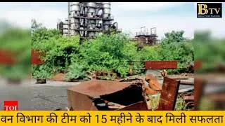 बरेली रबड़ फैक्ट्री में बाघिन पकड़ी गई देखिए दृश्य