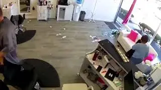 Deer Crashes Into Hair Salon