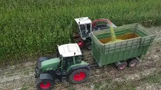 Trinciatura Mais 2024 Old Style | MENGELE SF4000/2 | Maisernte 2024 | Fendt