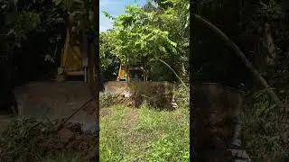 Plantation Roads Stronger with the D6R XL Bulldozer