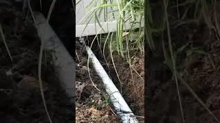 How To Eliminate Water From Flooding Your Yard