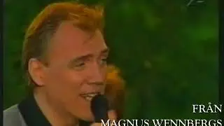 KAN MAN ÄLSKA NÅN PÅ AVSTÅND, VIKINGARNA, CHRISTER SJÖGREN