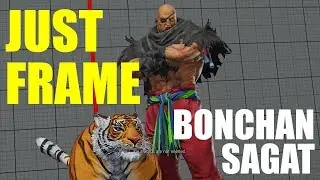 Just Frame Analysis! - Bonchan (Sagat) vs takururin (Laura)