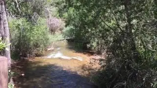 Chalk Creek Canyon