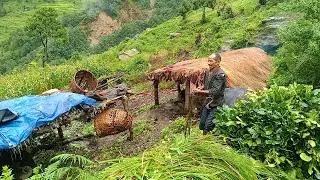Nepali Mountain village life into the Rainy Season | Daily Activities of Rural village life in Nepal
