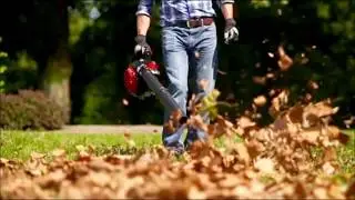 Effective Leaf Removal Services Las Vegas NV | Service-Vegas (702) 514-3052