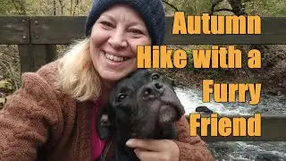 Autumn Woods Hike at Hugh Moore Park, Easton PA with a New Friend episode 109