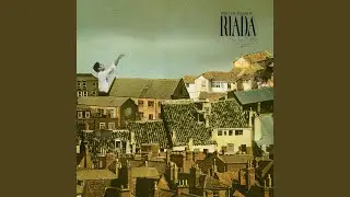 Quiso salir del corral