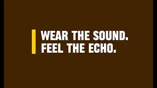 ECHOSENSE-IDP PROJECT 25/26 (GROUP 1)