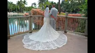 Our Discovery Cove Wedding