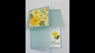Squash Corner Fun Fold