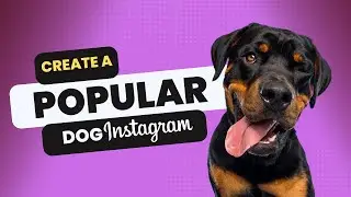 Как создать популярную страницу в Instagram для собак