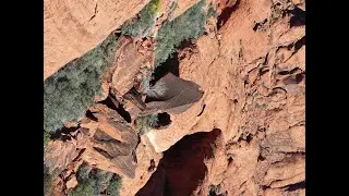 Red Rock Nevada Drone work.