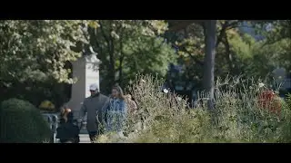 Nikon Zr R3D NE RAW and RED Film Bias LUT: Cinematic Visit to Washington Square Park