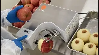 &eacute;plucheuse Tubercules tomates, navets, pommes de terre, oignon...et bien s&ucirc;r fruits