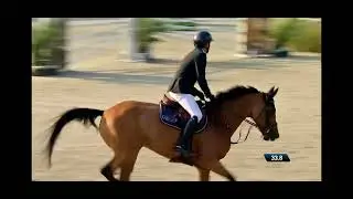 Rozetta Van Het Mettenhof 1st round 7y old horses world championship Lanaken Zangersheide