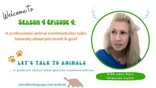 A professional animal communicator talks honestly about pet death and grief on Let's Talk to Animals