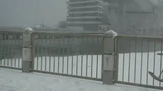 Aomori Snow (December 4th, 2025)