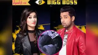 Big boss | puneesh bandgi love in big boss | memories | SALMAN ki Masti.