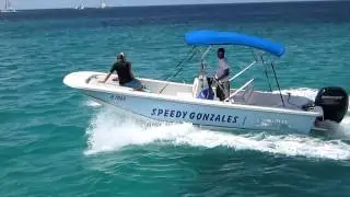 aruba water taxi