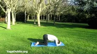 Hatha Yoga Dublin - How to do Sirshasana (Headstand)