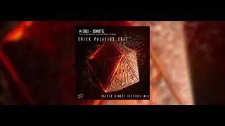 Alan Walker & K-391 - Ignite - Dapper Gimast Festival Mix (Erick Palacios Edit)