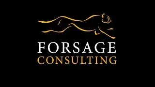 Forsage Consulting - о компании (презентация)