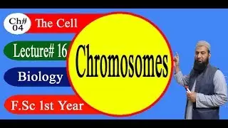 Biology Ch#04-Lecture#16 Chromosomes  (F.Sc 1st Year)