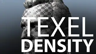 The Scoop on Texel Density