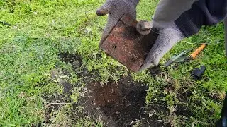 METAL DETECTOR ADVENTURE | Gold or Trash?