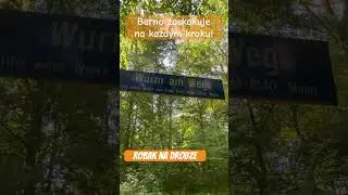 robak na drodze i inne śmieszne nazwy ulic w Bernie #shorts