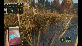 theHunter: Call of the Wild - Legion 5 (RTX 5060 + Ryzen 7 260) | FPS test (High-Ultra Settings)