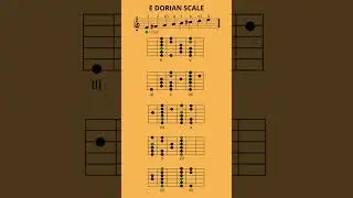 E Dorian Scale TsTTTsT