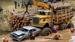 Extreme Timber Loading Skills That Will Leave You Amazed Smart Forestry Techniques Revealed