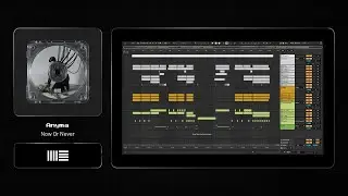 Anyma - Now Or Never [Ableton Remake]