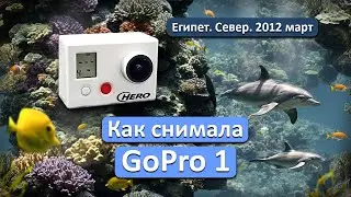 Как снимала GoPro1 version 1.0 | Египет дайвинг-сафари 2012 год